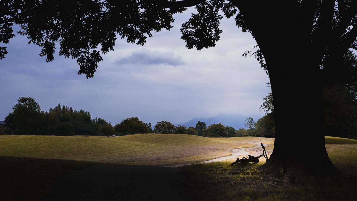 Mountain bike